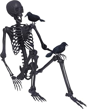 5.4Ft Halloween Skeleton,Posable Skeleton Full Size Skeleton with Movable Joints and 2PC Black Feathered Crows for Halloween Decorations Outside and Inside