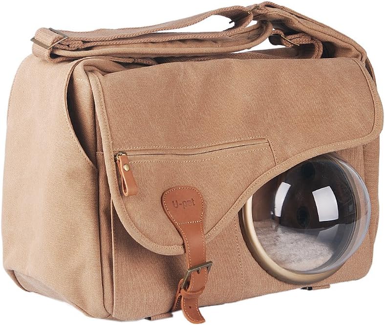 shampoo for scabies in dogs