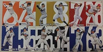 Amazon.co.jp: プロ野球チップス2024 スターカード コンプリート