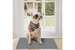 1/10 Inch Ultra Thin Door Mat: Adorned Entryways Without Obstructions
