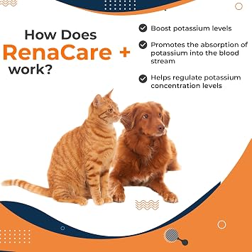 RenaCare K is for Renal K (Potassium Gluconate) Potassium Supplement Gel for Dogs and Cats, (30 oz) with Maple Flavor (Made in U.S.A)
