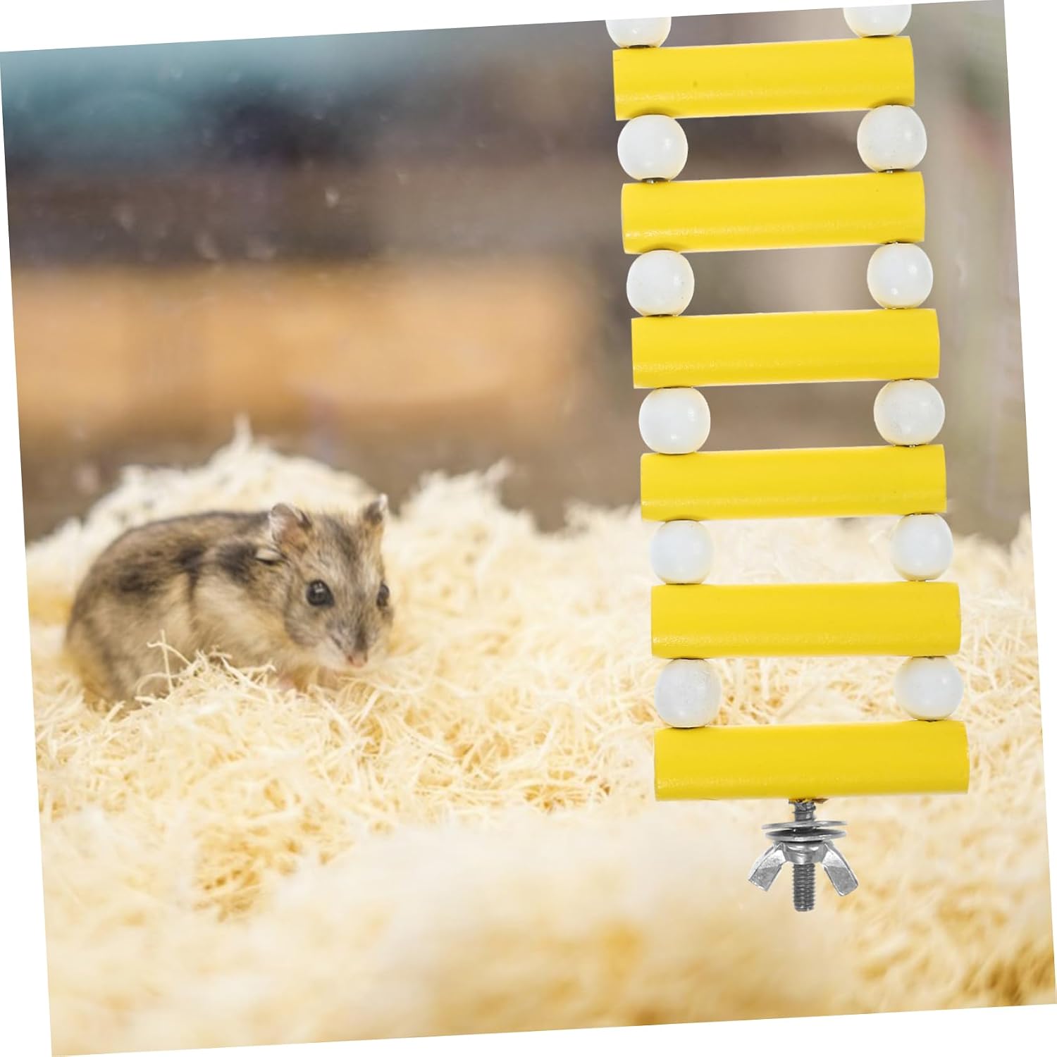 Sosoport 5pcs Chinchilla Ladder Toy Wooden Rat Ladder Hamster Toy Climbing for Small Pets Safe Fun