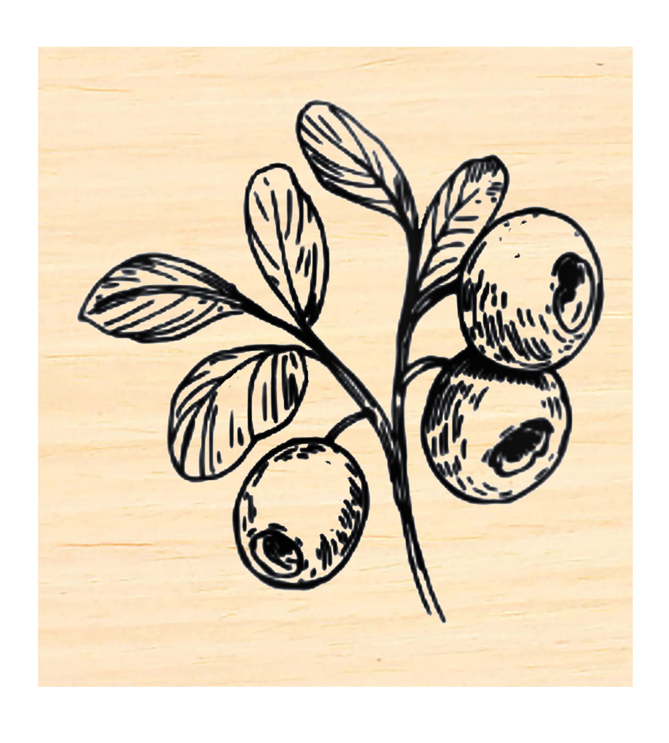 P137 Blueberries Rubber Stamp