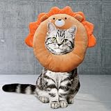 Ver la foto 6