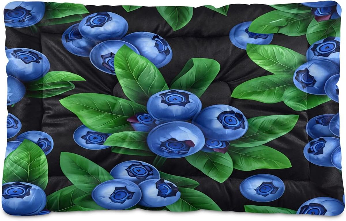 Cama para perros Blueberries Cama para gatos, colchón suave antideslizante para jaulas de mascotas Almohadilla de perrera lavable para perros pequeños, medianos y grandes, 24 x 36 pulgadas