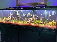 Review Image by Katherine R Gonzalez Katherine R Gonzalez