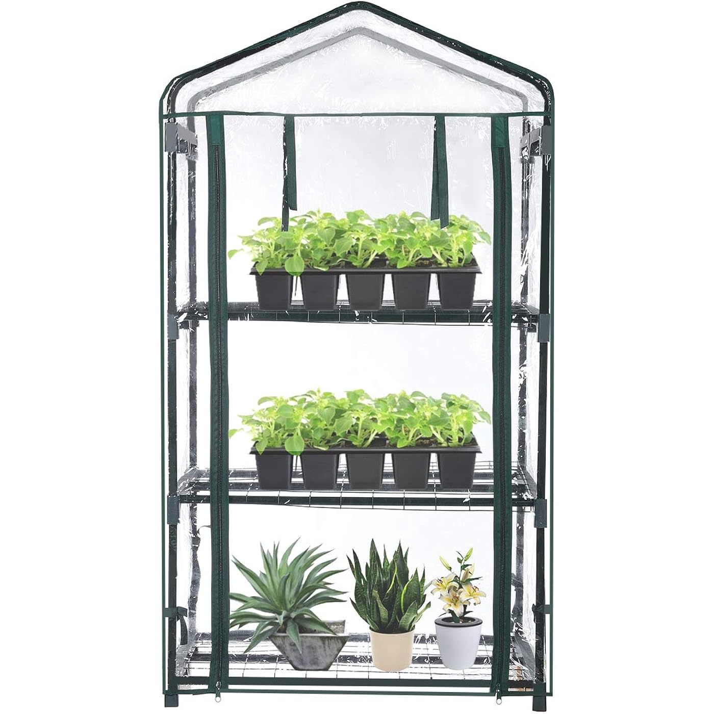 Gallery image 1