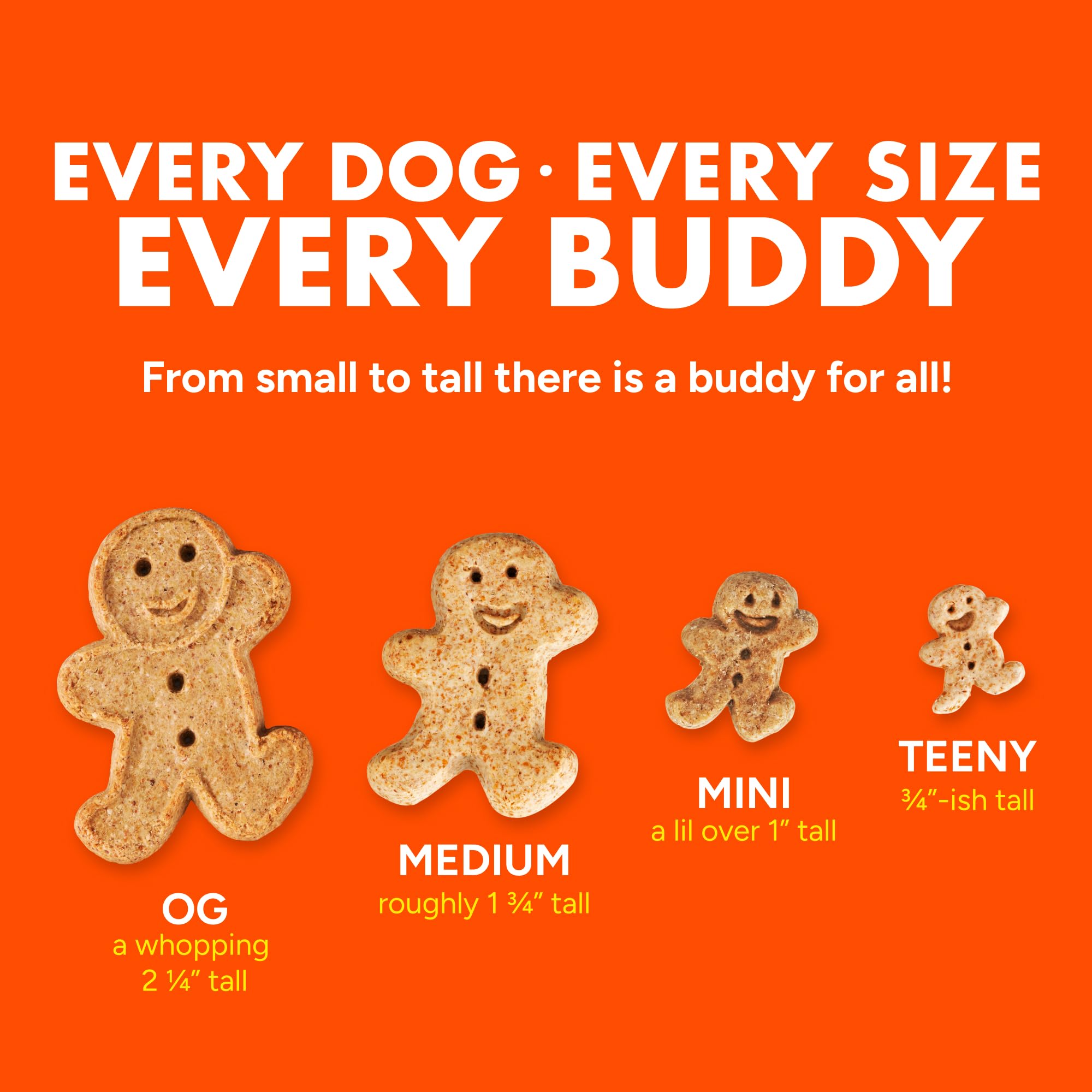 Cloud Star Grain Free Soft And Chewy Buddy Biscuits Dog Treats, Rosted Pollo, 141,7 Gram