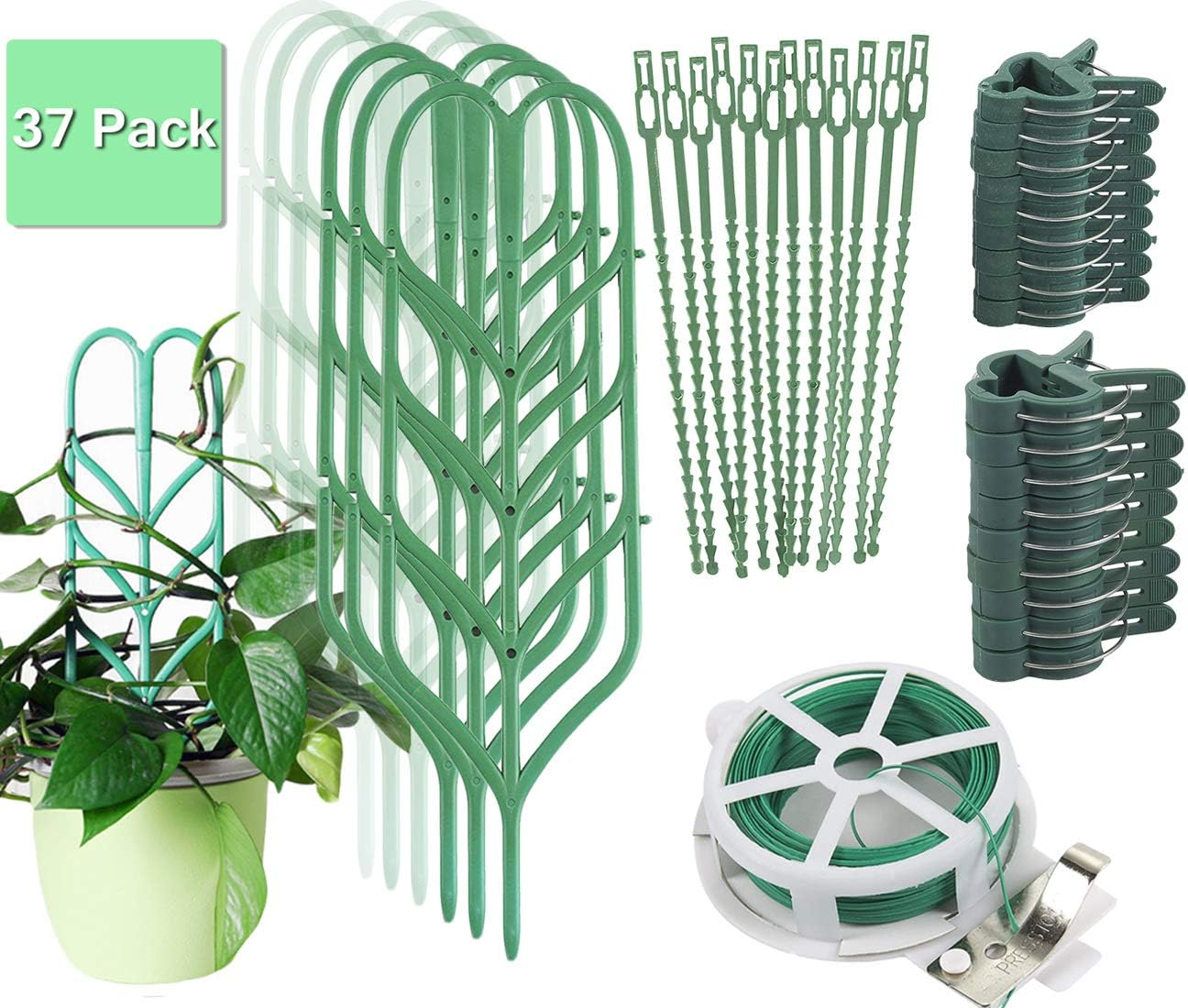 Amazon.com : Indoor Plant Trellis for Climbing Plants Bundle Pack - 6 ...