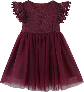 Toddler Girls Lace Dresses Baby Girl Elegant Dress Flutter Sleeve Lace Party Princess Dress - Buy now