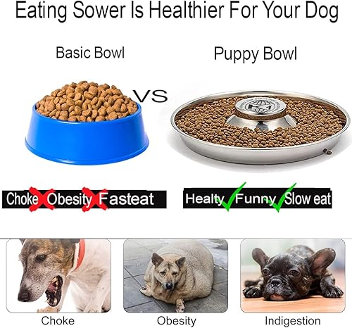 Miniatura 5 de Cuencos para cachorros para arena, 2 cuencos de comida para cachorros, cuencos de acero inoxidable para cachorros, cuenco de papilla para cachorros,