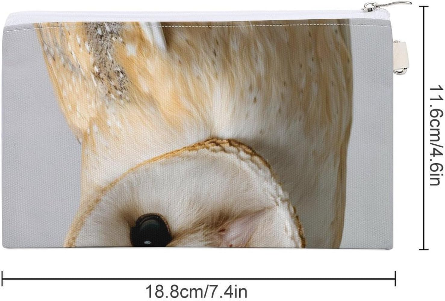 Curious Barn Owl Coin Purse Change Purse Pouch Wallet