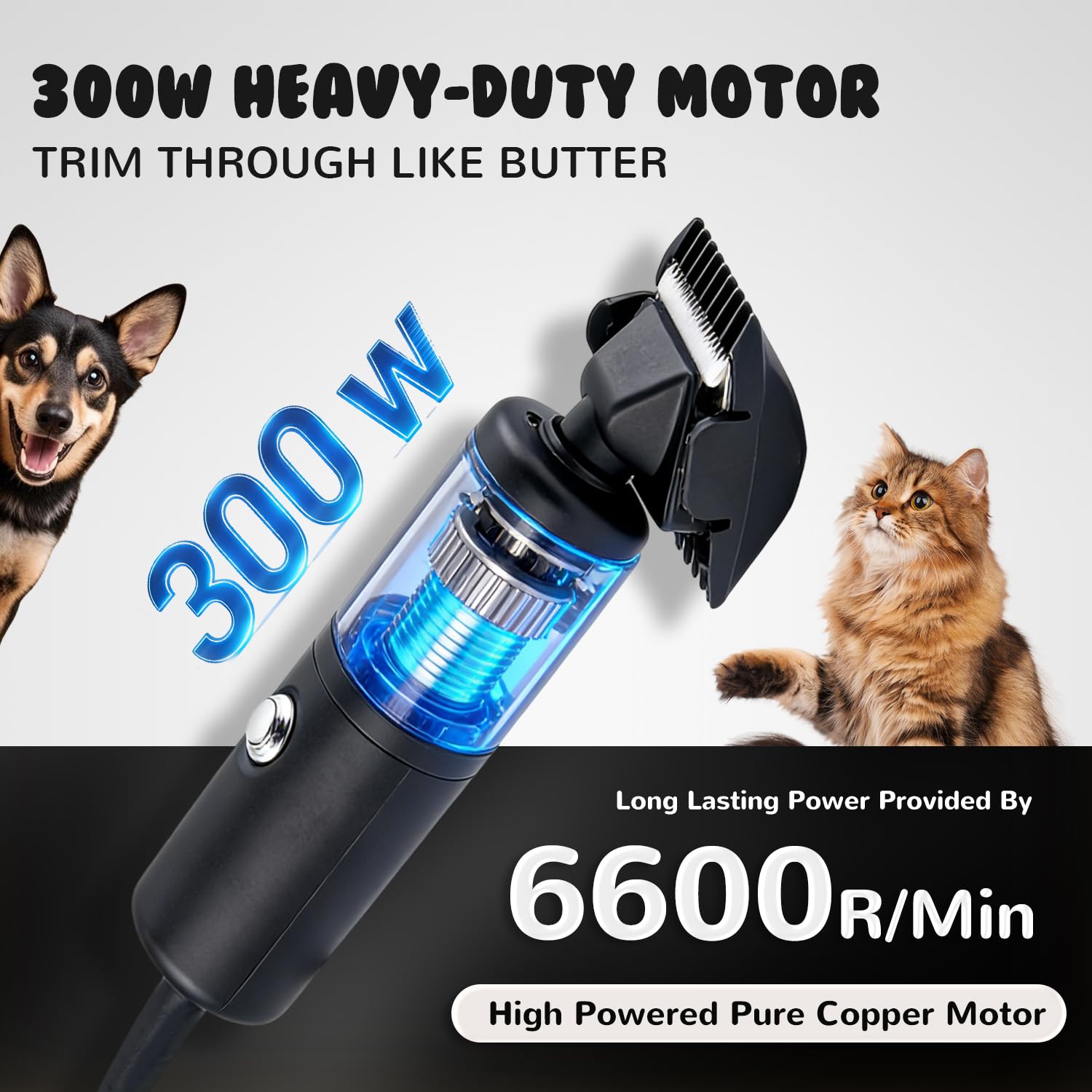 CGOLDENWALL 300W Profesional Cortapelos para Perros, Velocidad Sin Etapas 2000-6000RPM, <50dB Ruido Bajo, Cable 3m, 2 Hojas Removibles, 2 Peines (3/6mm,9/12mm) para Perros, Gatos & Todo Pelaje (Negro)