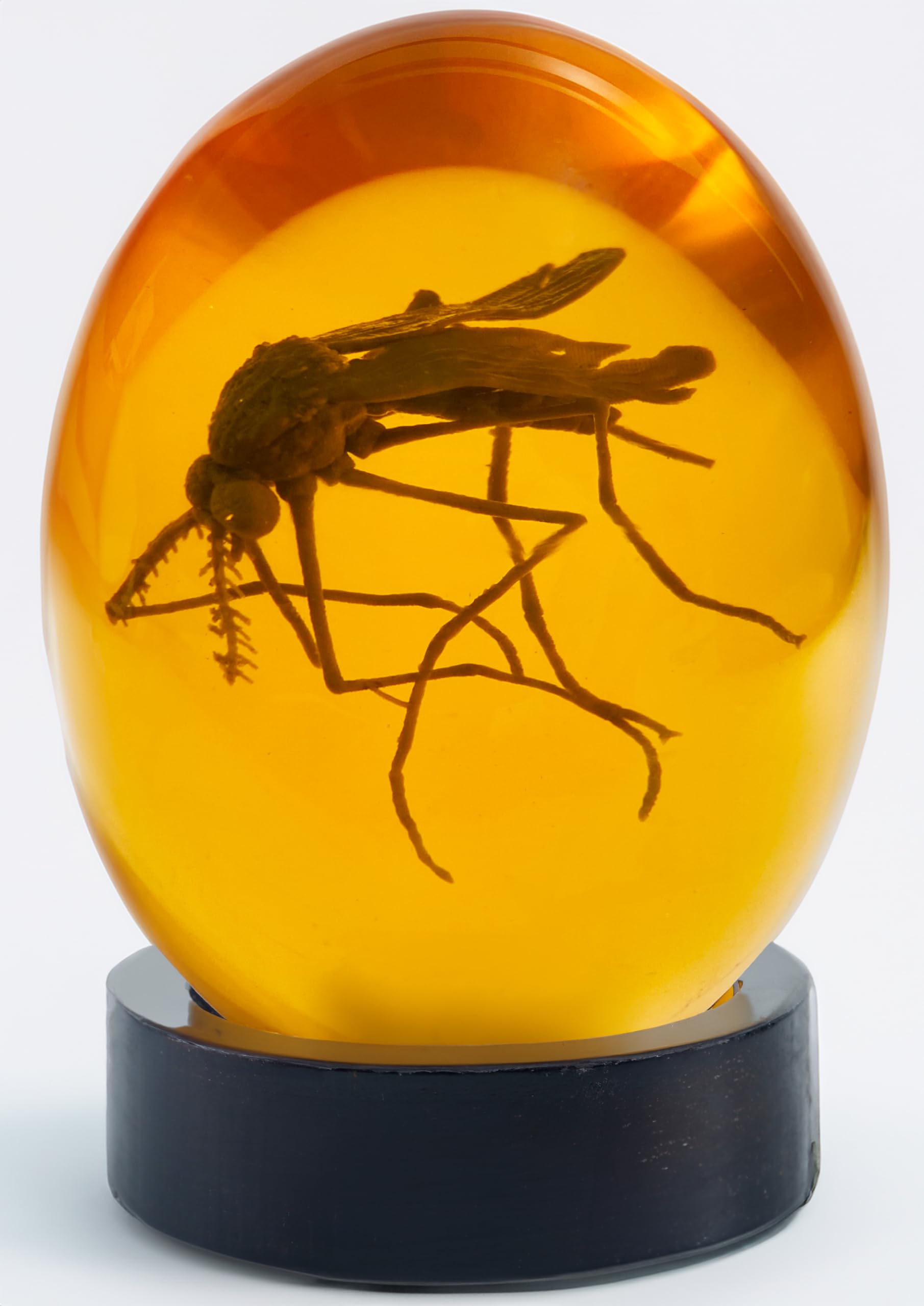 VEOJEIN Jurassic 3D Mosquito in Amber with Wooden Base | True 3D Original Design Realistic Flat Bottom Shaped | Dinosaur DNA Replica Prehistoric World | Collectable Prop | Cane Mount | Paper Weight
