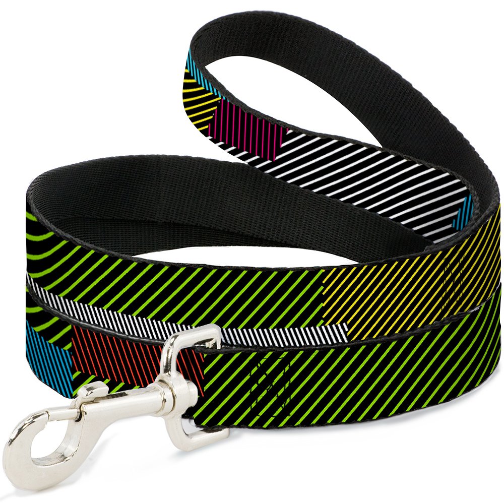 Laisse pour animal de compagnie Buckle Down grand chien motif rayures multicolores