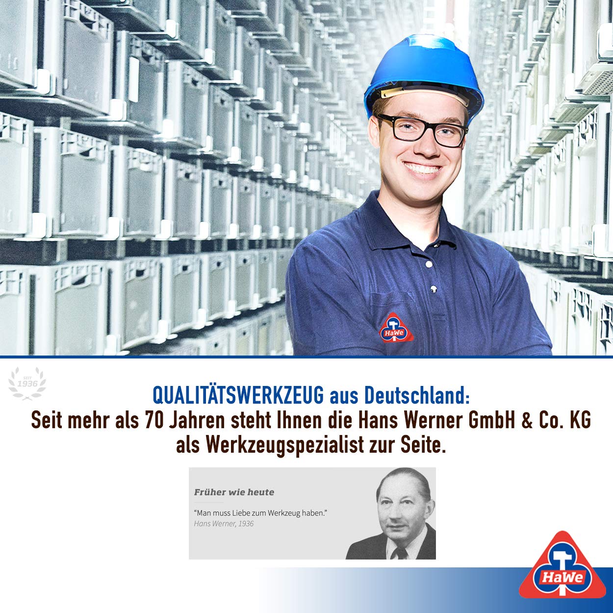 HaWe Profi Tapeten Stachelwalze mit Teleskopstiel 52-93 cm