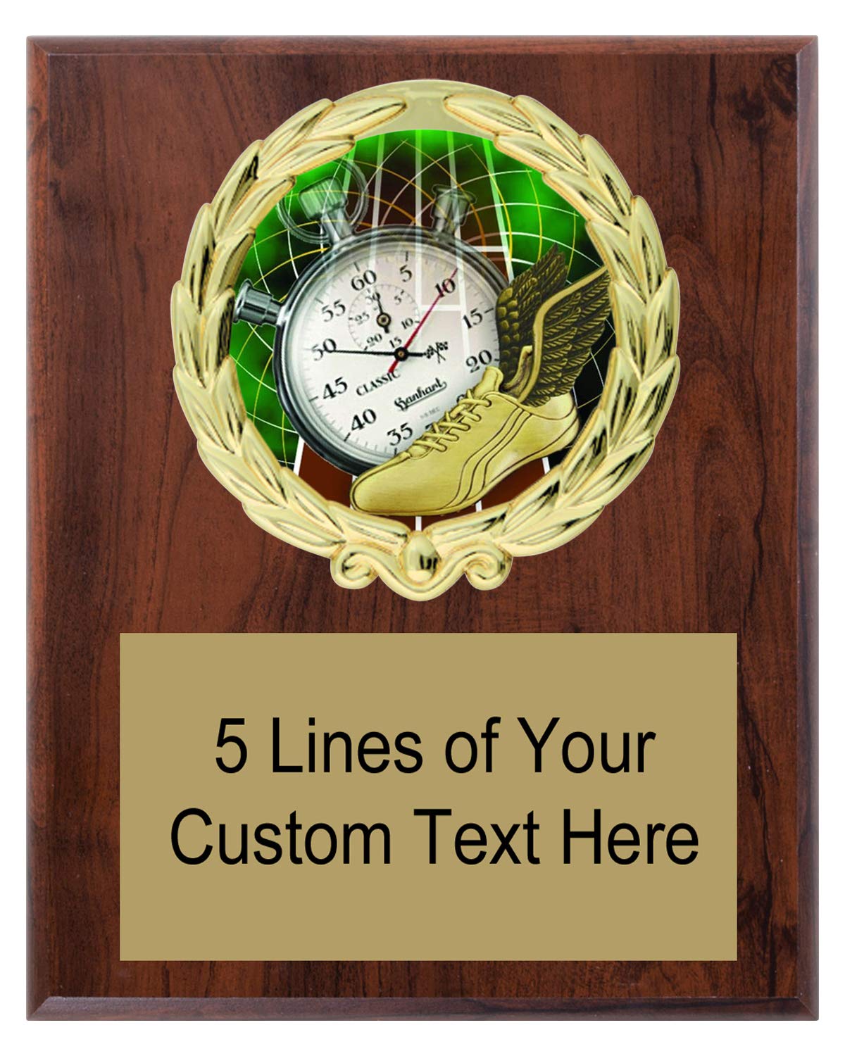 Various Styles of Personalized Track Award Plaques Trophy Prize Gift