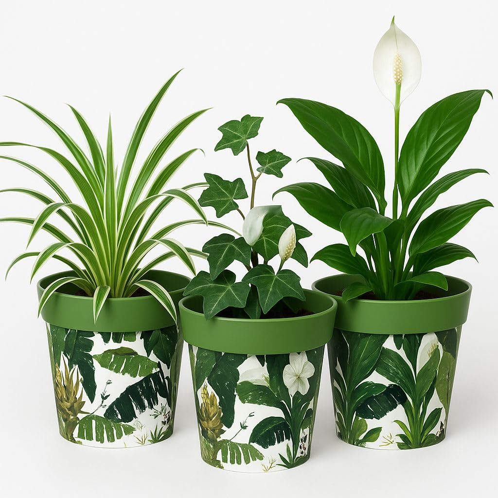 Gardening Naturally Decorative Plant Pot with Recycled Materials – Frost-Proof, Suitable for All Seasons, 15.1cm x 16.8cm Pack of 3 By Flowersea (Banana Tree)
