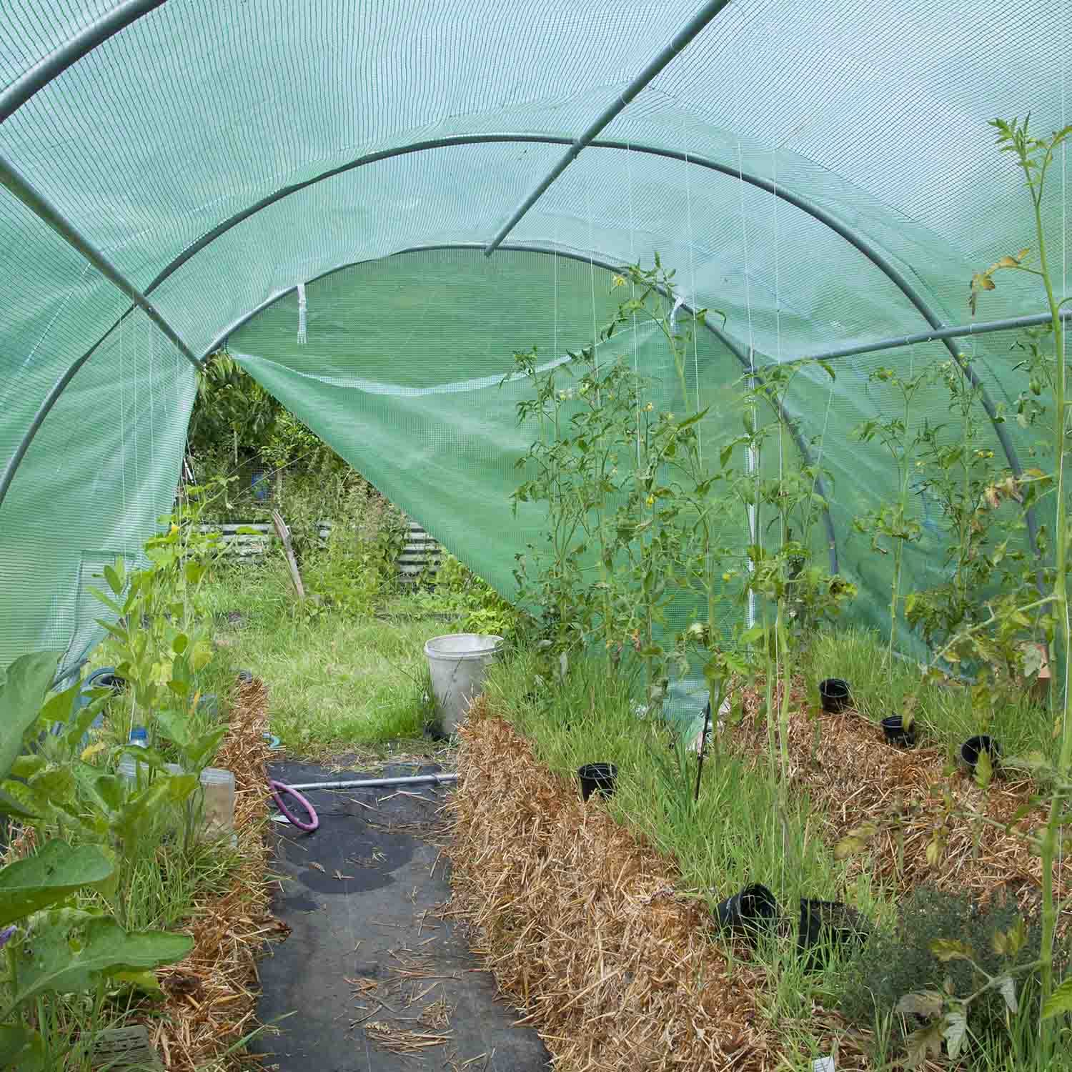 Invernadero de cultivo de 2,5 x 4 m, invernadero de jardín con estructura de túnel de acero galvanizado y cobertura de polietileno reticulado. Greenhouse de 10 m², 250 x 400 x 190 cm