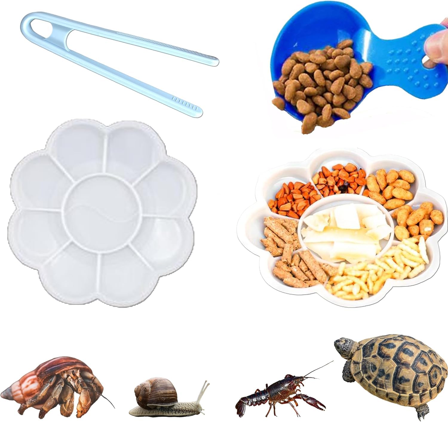 PUMEXFE 3 Pack Hermit Crab Food Bowls Feeding Tongs Scooper Set Reptile Water Dishes Accessories Small Animal Foods Dish Kit, Feeder Bowl for