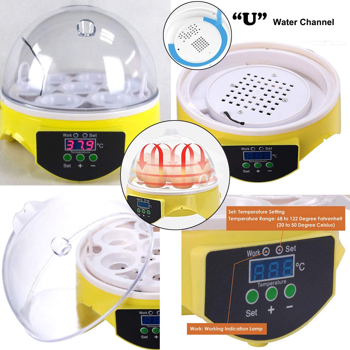 360 Degree View Blue Mini Egg Brooder Hatcher for Chickens Pheasant Quail and Birds Incubator