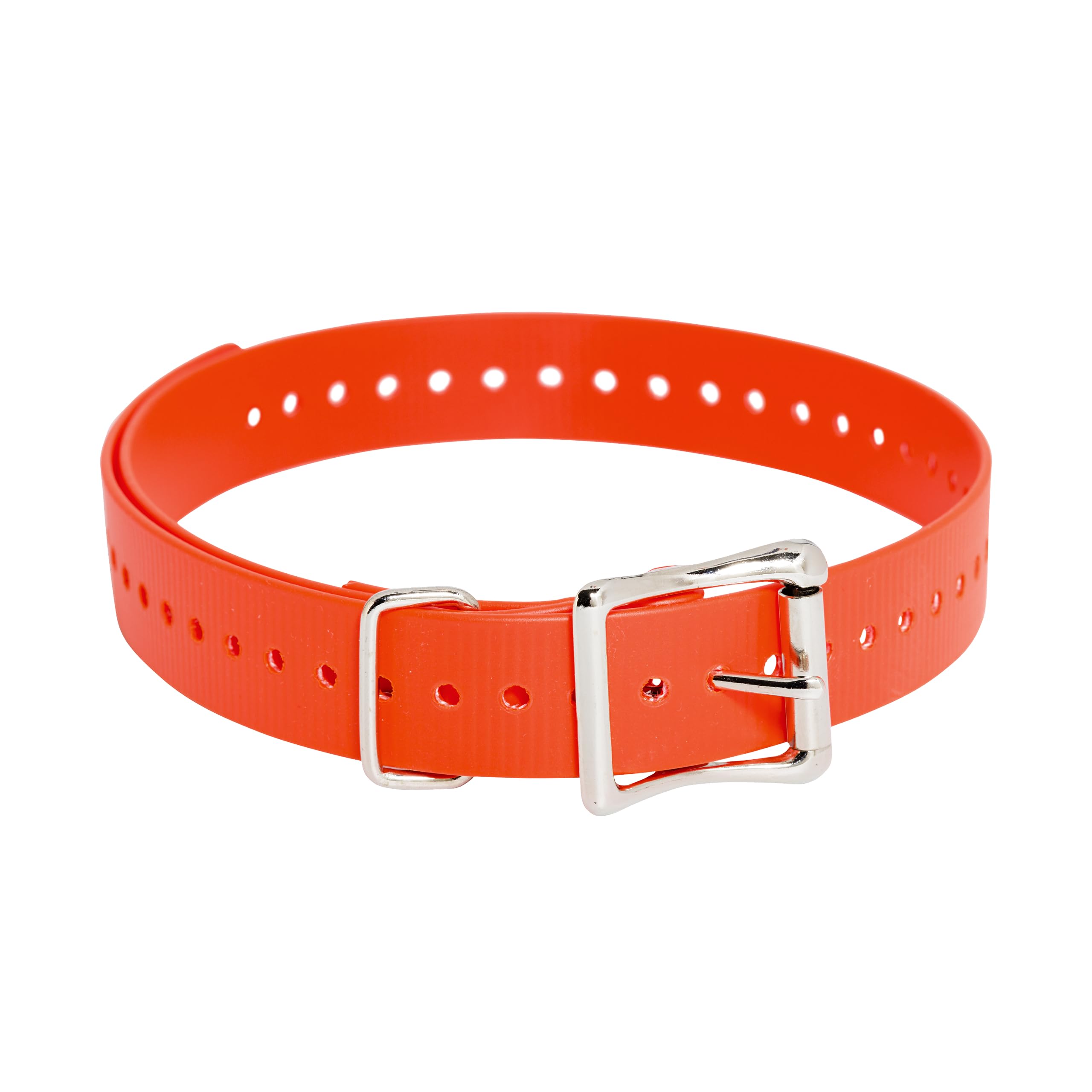 Sangles de col de 2,5 cm anti-corrosion SportDOG orange haute visibilité