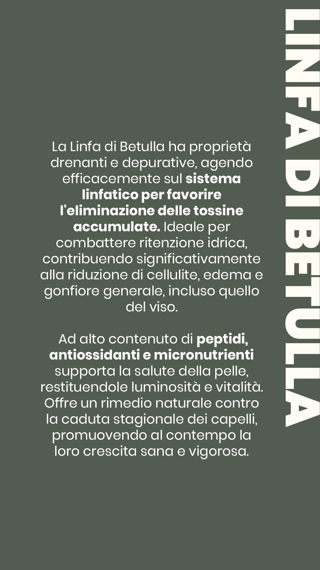 Vegetal Progress - Linfabet - Linfa di Betulla - 4 bottiglie da 700 ml (3+1 gratuita)