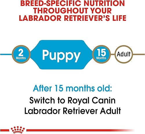Miniatura 5 de Royal Canin Breed Health Nutrition Labrador Retriever - Alimento seco para perros 30 libras