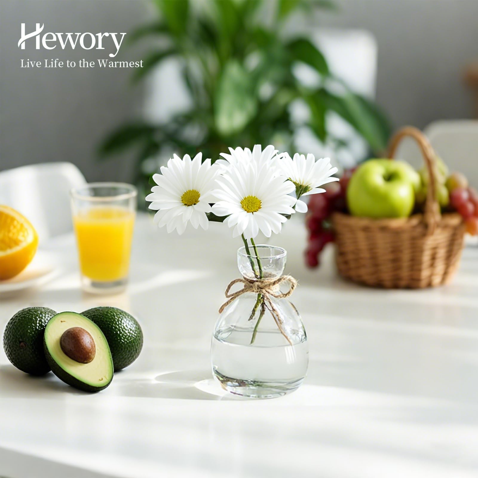 Hewory Lot de 3 vases à avocat en verre : lot de 3 vases en forme de gland - Kit de culture de graines d'avocat - Cadeaux de propagation pour les amateurs de plantes
