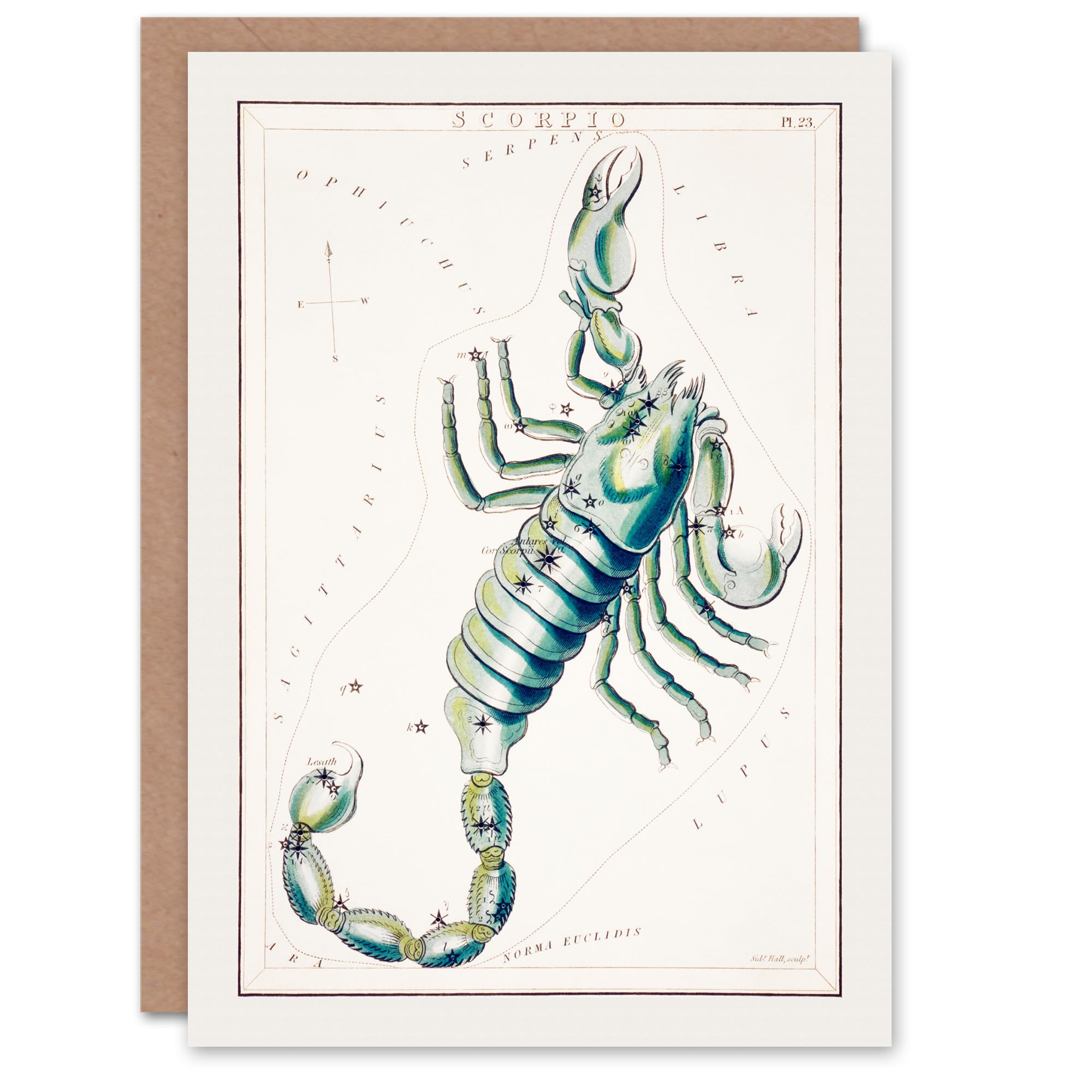 Artery8 Greeting Card - Sidney Hall Art - Scorpio Astronomical Chart - White