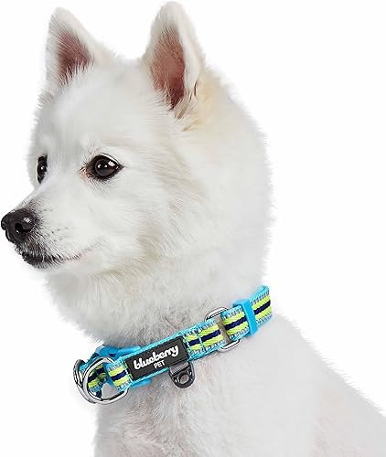 Miniatura 7 de Blueberry Pet - Collar para perro a rayas multicolor con más de 10 colores seguro y cómodo opciones reflectantes 3M disponibles