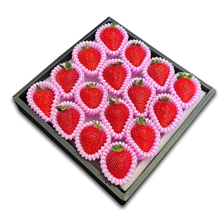 新品　ファミリア　いちご ランチボックス | ファミリア公式サイト