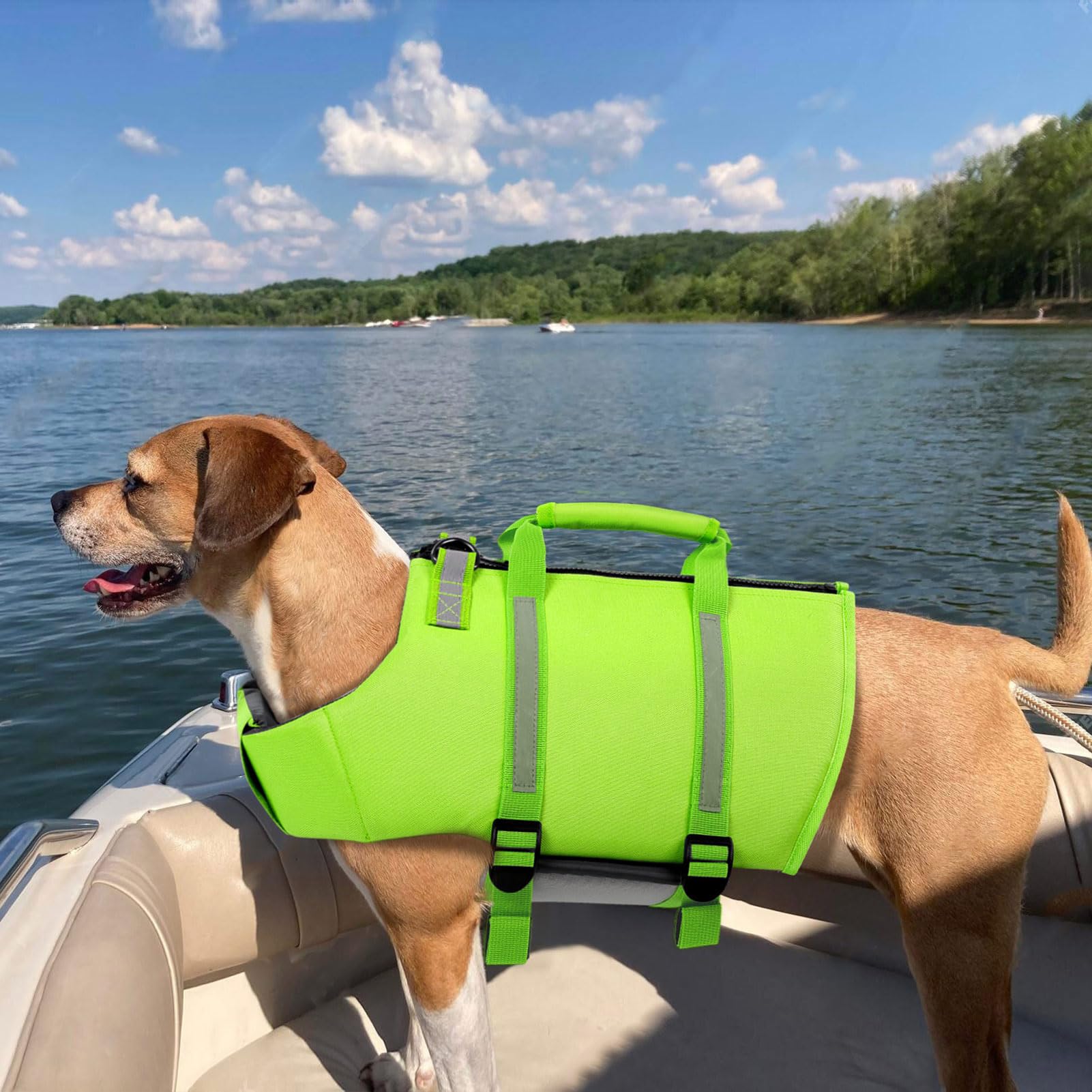Gilet de Sauvetage pour Chien Haute Performance Vert XL avec Poignée et Bandes Réfléchissantes
