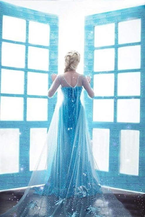 NIYIGEJI Women Halloween Cosplay Frozen Elsa Princess Costume Girls Fancy Party Dress Up