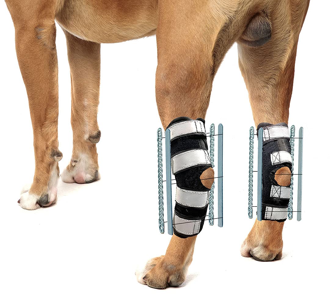 Buy NeoAlly 3in1 Dog Rear Leg Splint Braces Combo for Support