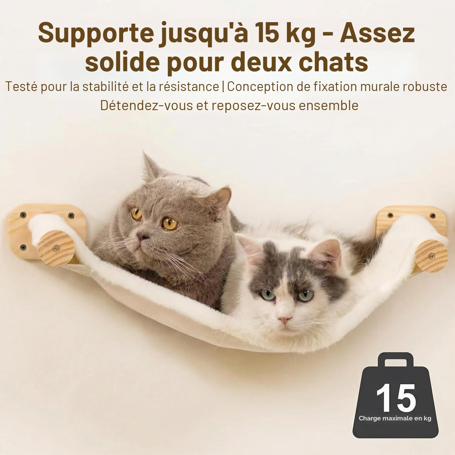 Mur d'escalade pour Chats - Hamac Mural pour Chat - Lit d'escalade en Bois de pin