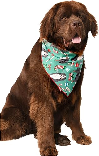 Kendall Wags Bandana de Navidad para perros, accesorios para mascotas para perros, gatos y cachorros, grande, mediano y pequeño (bernés, mediano)