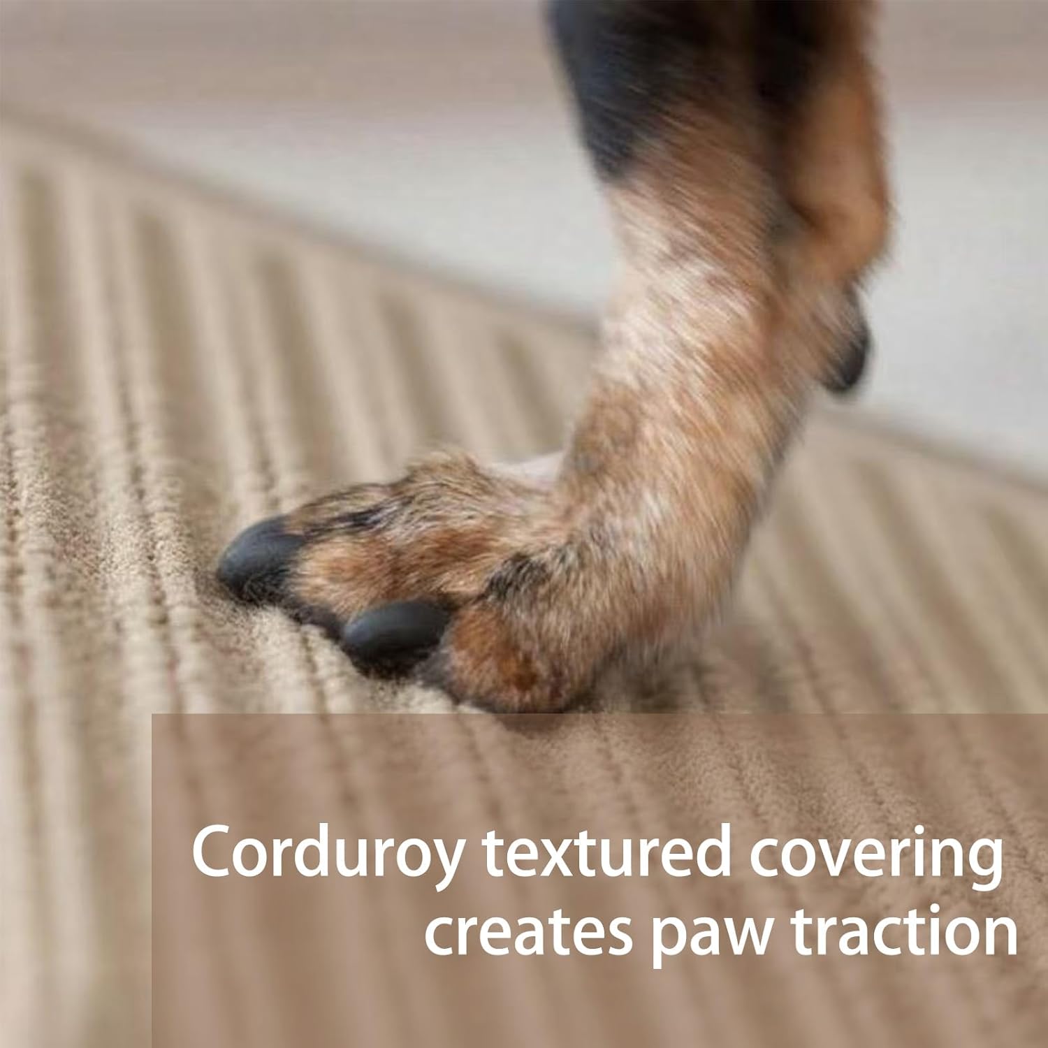 2-in-1 Folding Dog Ramp, Lightweight Cats or Pets Footrest, Cat Dogs Stairs for Bed and Sofa, Suitable for Medium and Small Dogs Enter and Exit Up and Down (Khaki)
