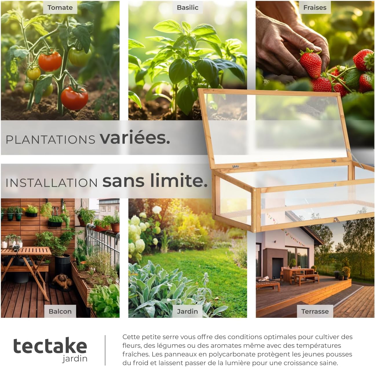 Plants growing inside the tectake Mini Greenhouse Cold Frame