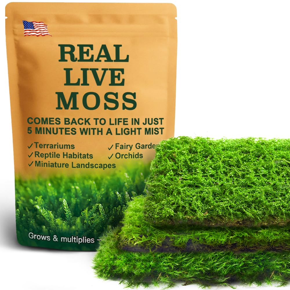 Amazon.com: Live Moss Variety Pack – 3 Real Moss Types (Each 3.5