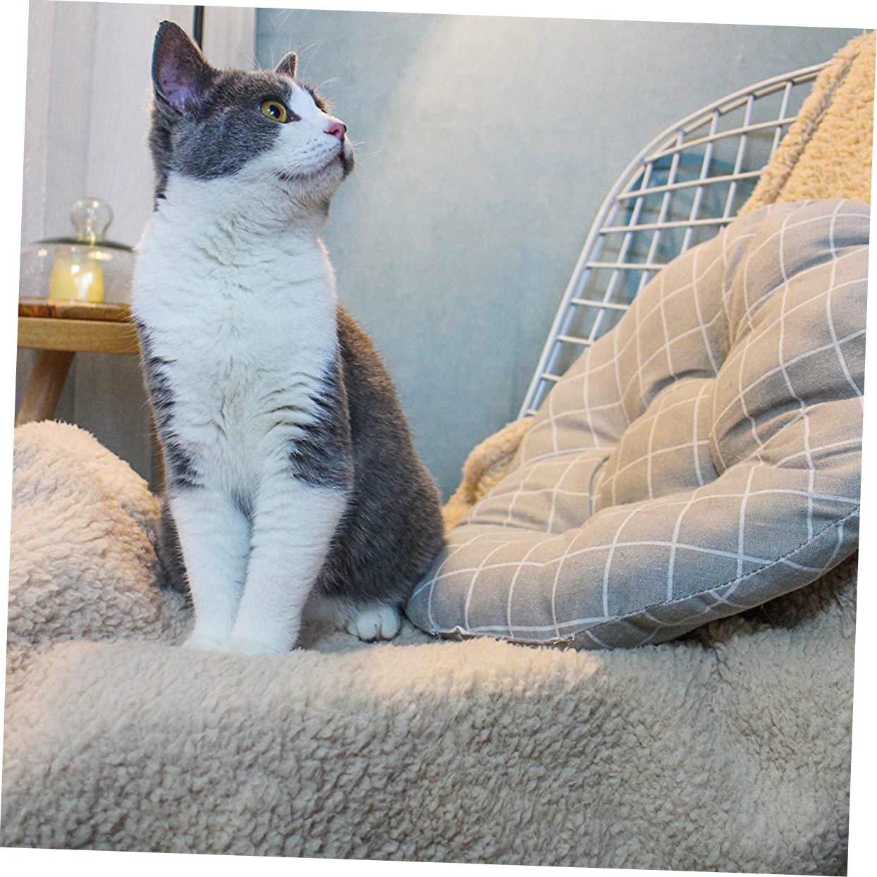 ABOOFAN Lot De 2 Couvertures Thermiques en Peluche pour Chien Et Chat Taille S Beige Super Couverture