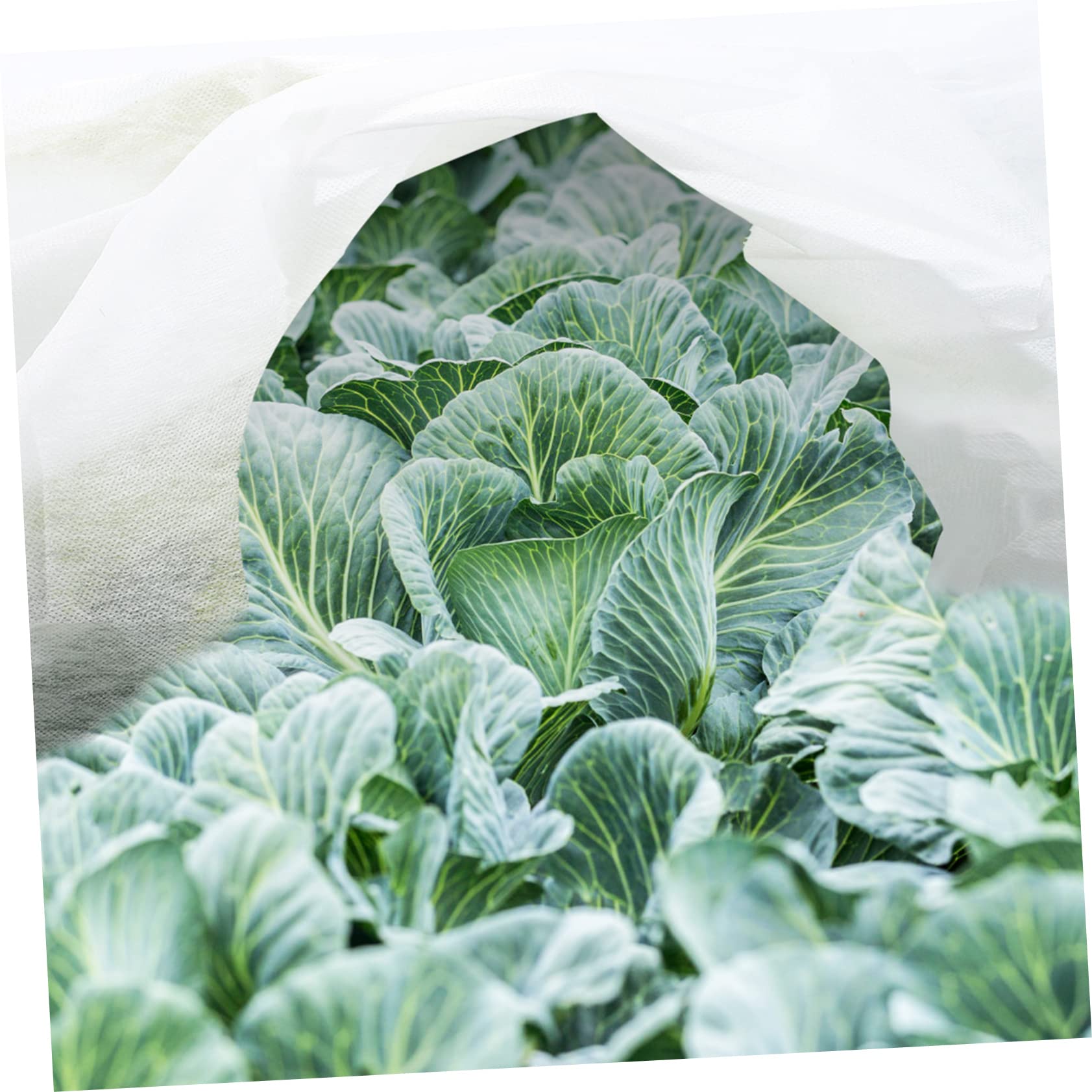 VICASKY 2 Pezzi Coperture Fleece per Piante Protezione Non per Inverno Coperture Antigelo per e Protezione da Freddo e Vento