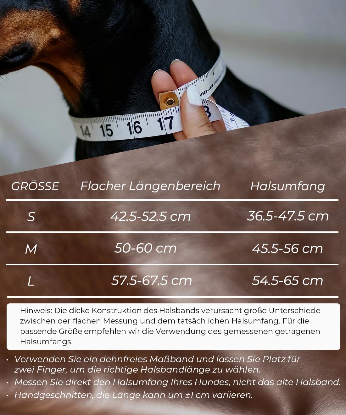 EliteGuard Skórzana obroża dla psa, szerokość 5,6 cm, ręcznie wykonana z ćwiekami i klamrą ze stali nierdzewnej, do codziennego użytku dla dużych psów (czarno-złota, 54,5-65 cm)