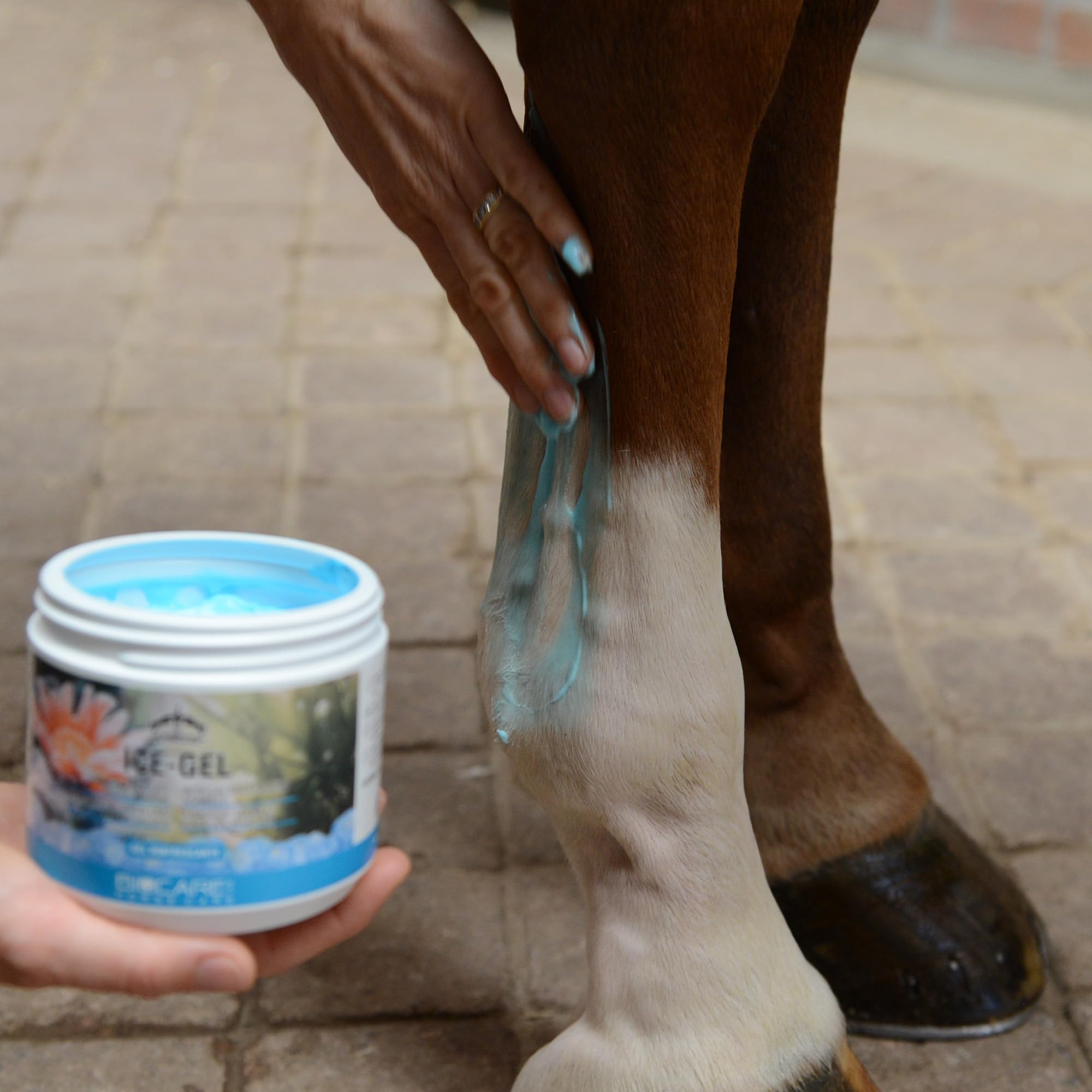 Veredus Ice-Gel con Calendula e alghe marine