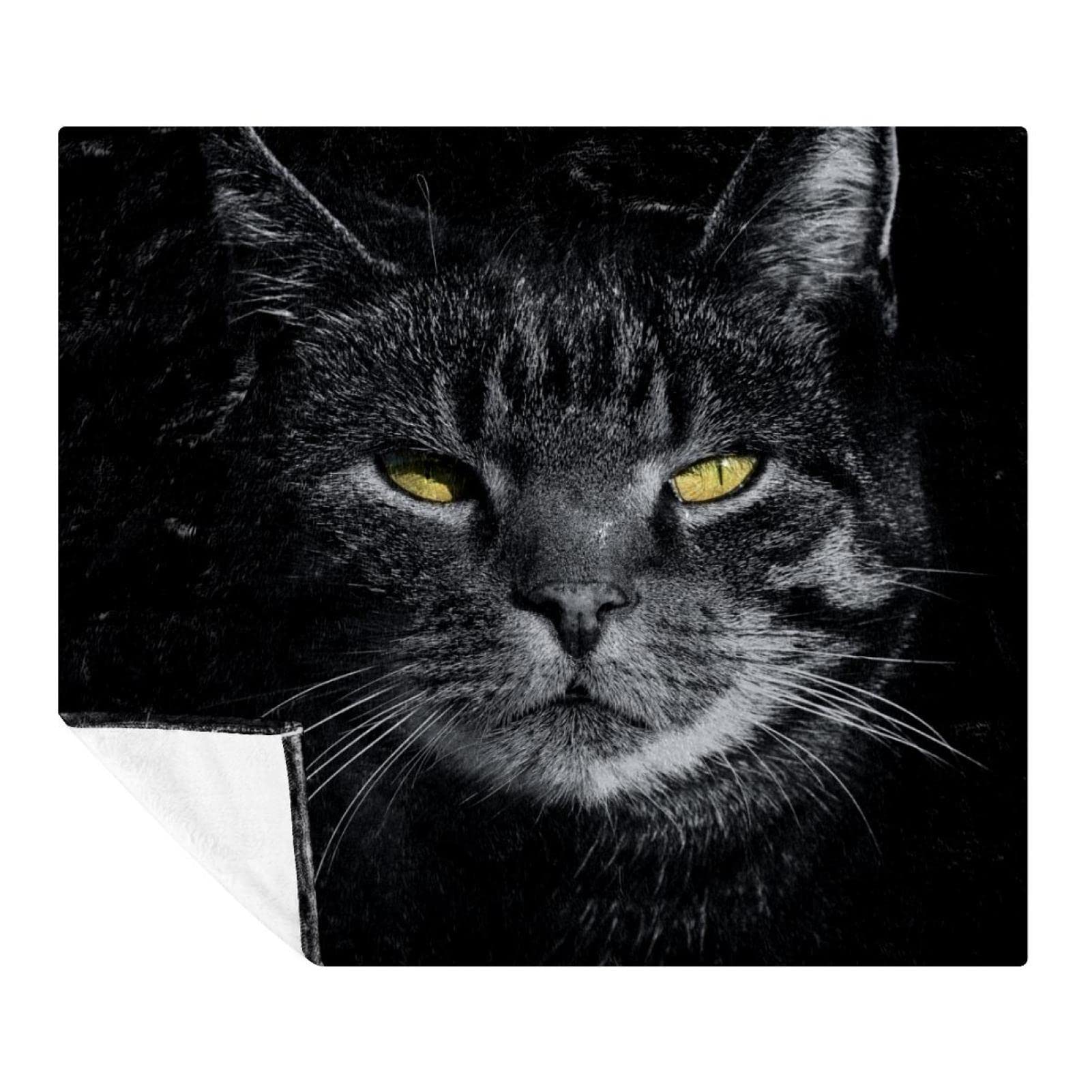 Couverture de sieste chat animal cool pour des moments cocooning au salon