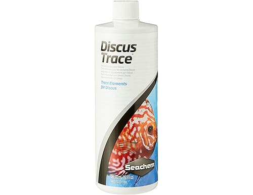 Best Discus Fish Essentials You Must Have (2024)