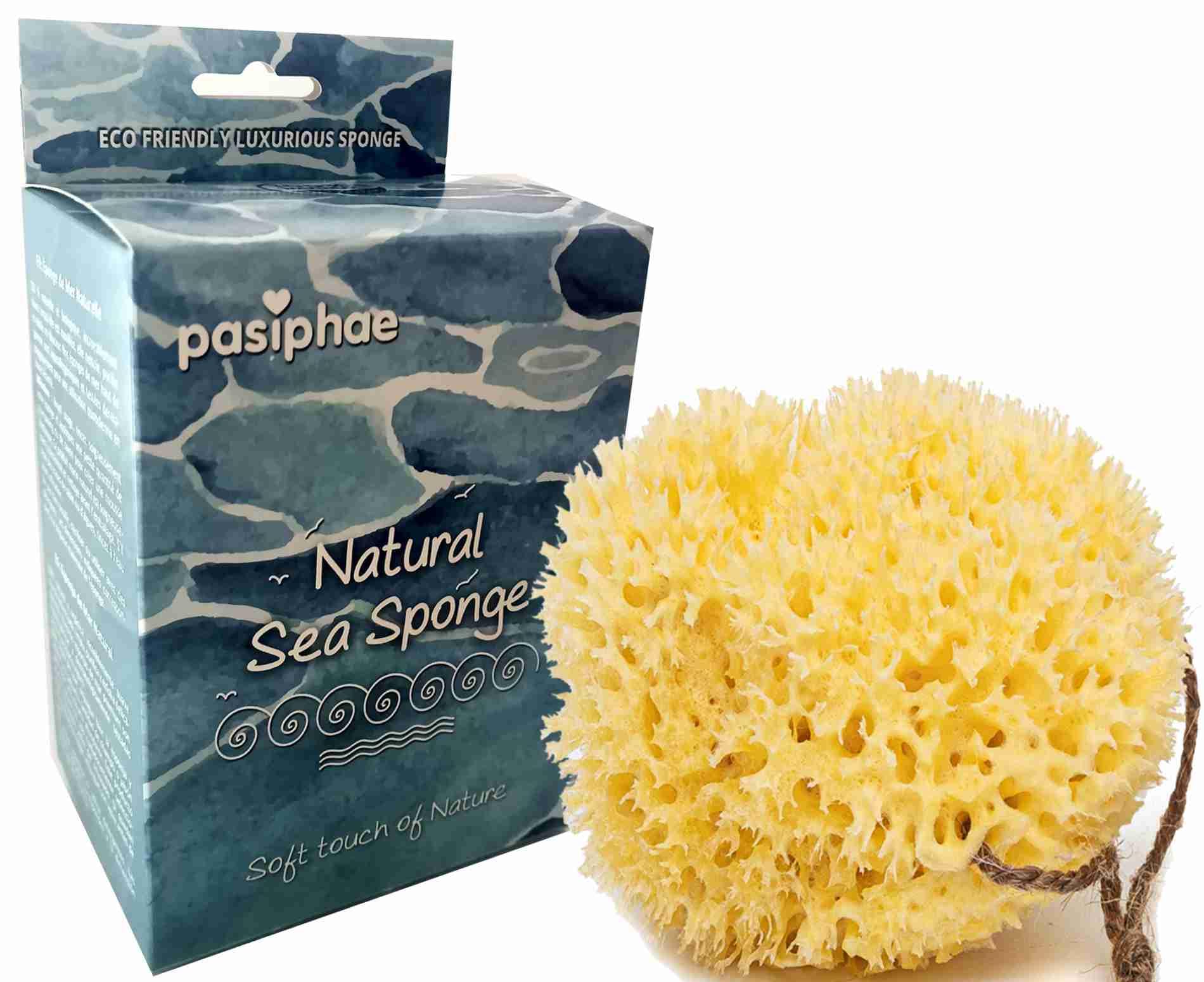 Pasiphae - Esponja de baño natural de Grecia - Esponja de baño de panal, esponja exfoliante orgánica suave para adultos, esponja corporal ecológica para mujeres y hombres (talla L, 1 unidad)