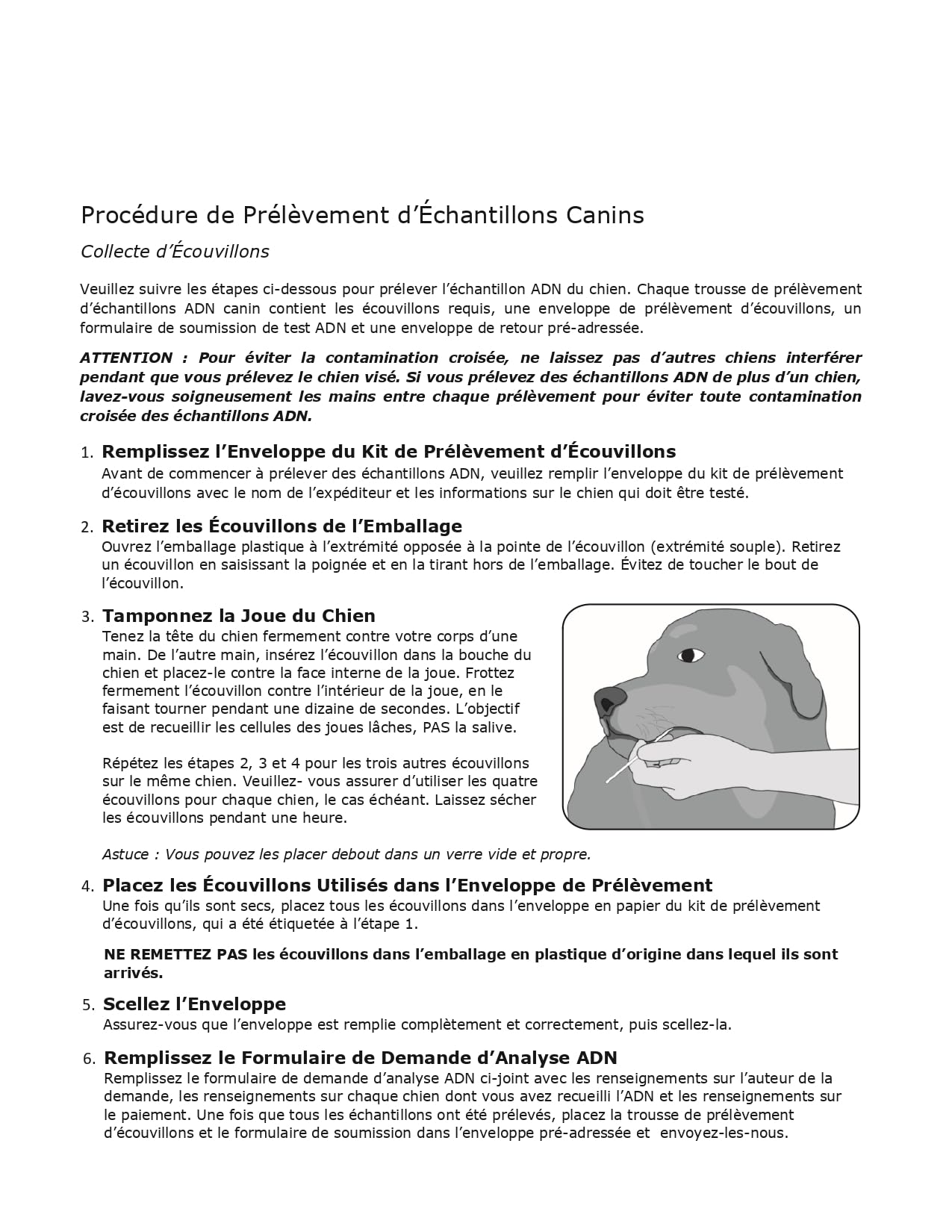 Prueba ADN Parental Canina| Kit casero de Muestra Canina para Padre, Madre y Cachorro| Resultados del parentesco canino en 2 semanas | Un Kit Completo sin sobrecargos