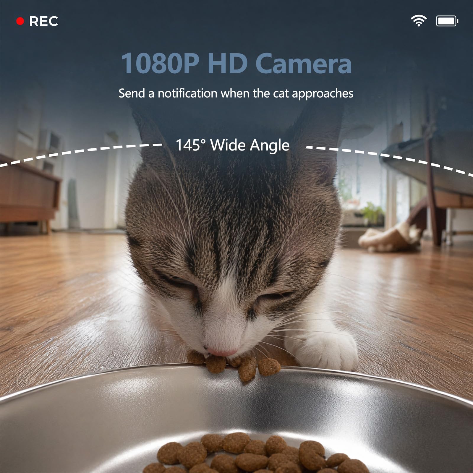 Distributore Automatico Cibo Gatti con Telecamera, 6L Crocchette Dispenser | Wifi 2K Camera con Visione Notturna a Colori, Rilevamento Movimento, App Programmabile 1 a 10 Pasti , Batteria di Riserva