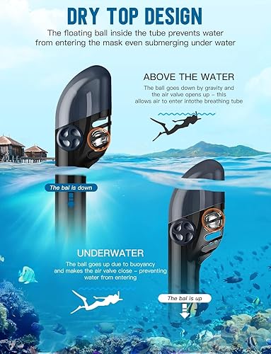 Miniatura 4 de Zenoplige Máscara de esnórquel de cara completa para adultos, equipo de esnórquel seco con soporte para cámara, máscara panorámica plegable de 180